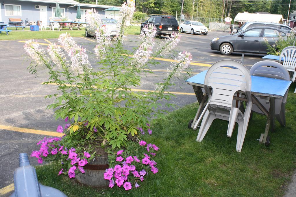 Kingsbridge Inn / Bon-Air Motel Wasaga Beach Exterior foto